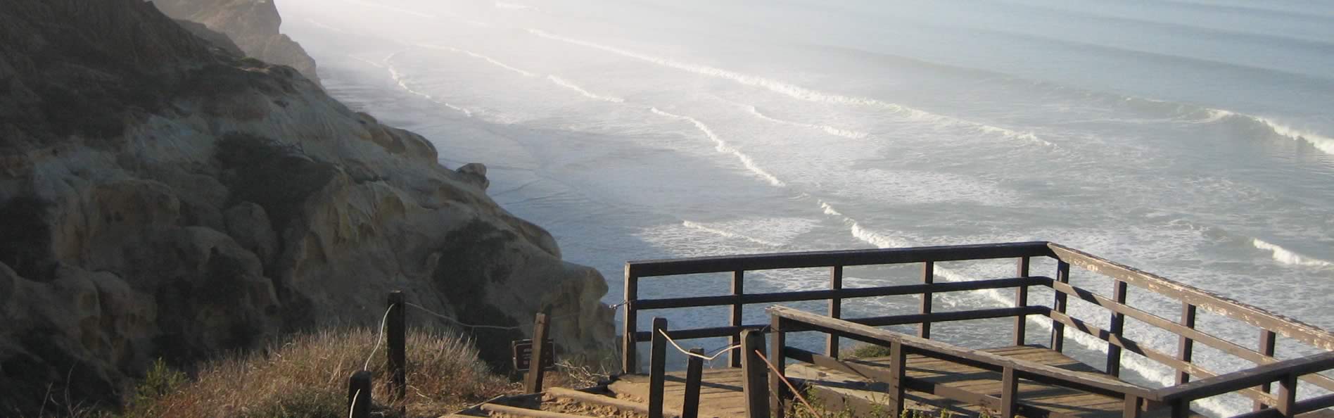 banner2 banner2